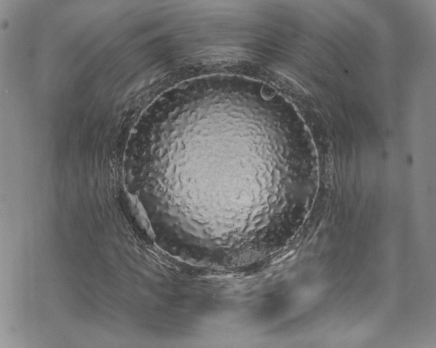 X0000076270917200609281201