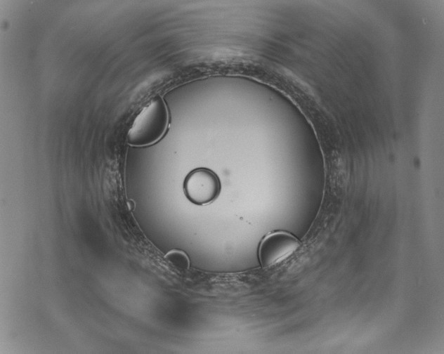 X0000076270918200609281201