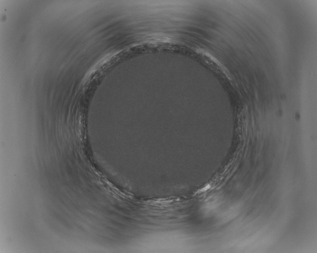 X0000076270919200609281201