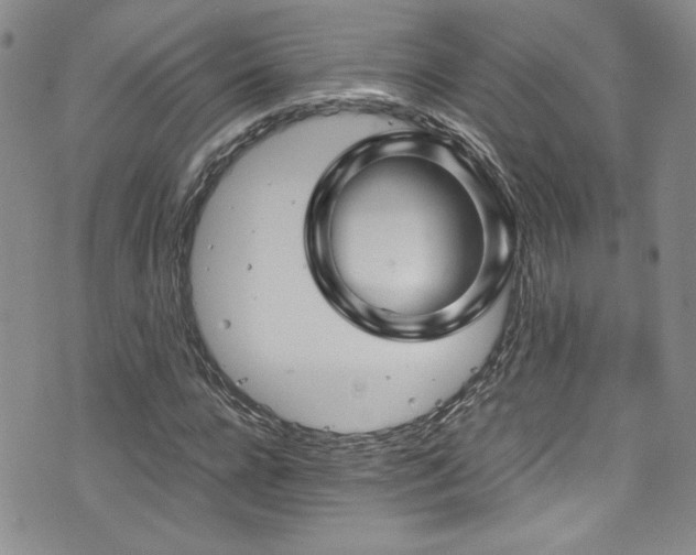 X0000076270920200609281201