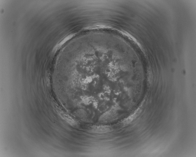 X0000076270921200609281201