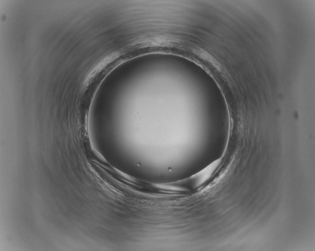 X0000076270922200609281201