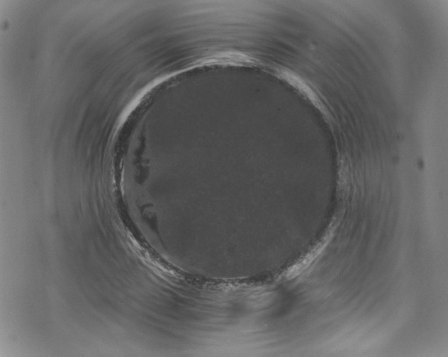 X0000076270923200609281201