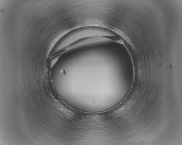 X0000076270926200609281201