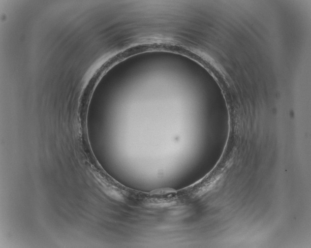 X0000076270927200609281201