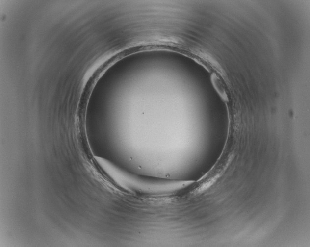 X0000076270928200609281201