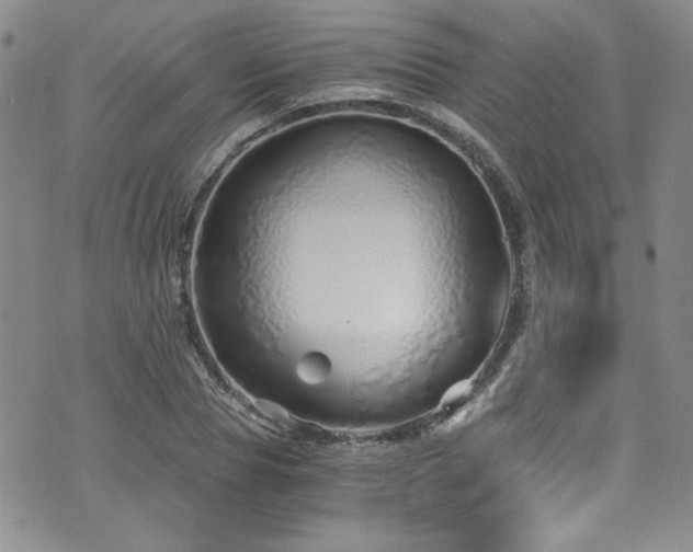 X0000076270929200609281202