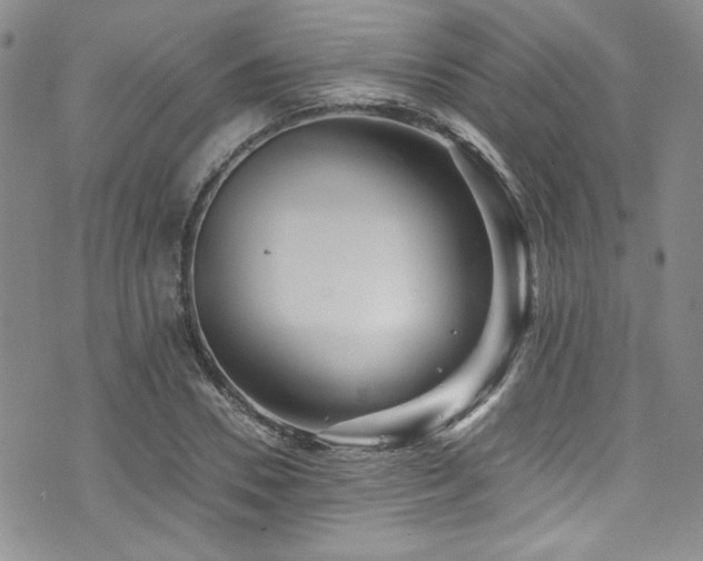 X0000076270930200609281202