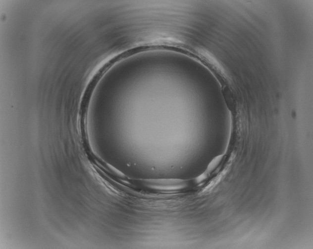 X0000076270932200609281202