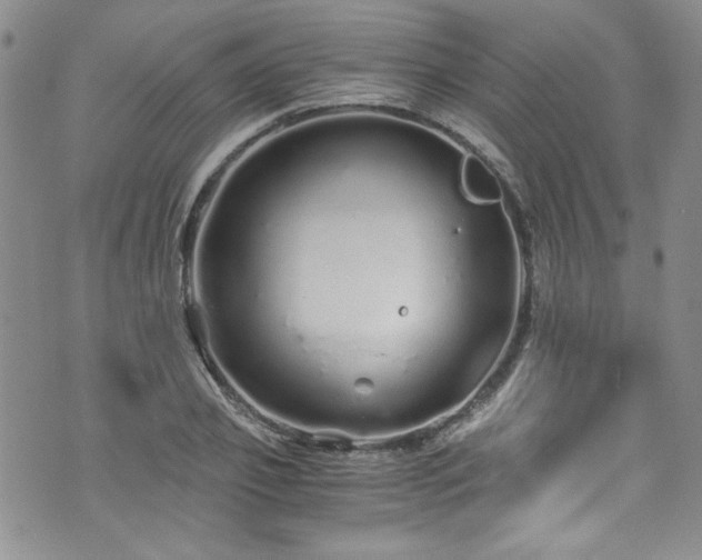 X0000076270933200609281202