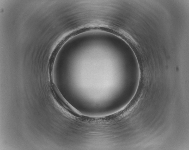 X0000076270934200609281202