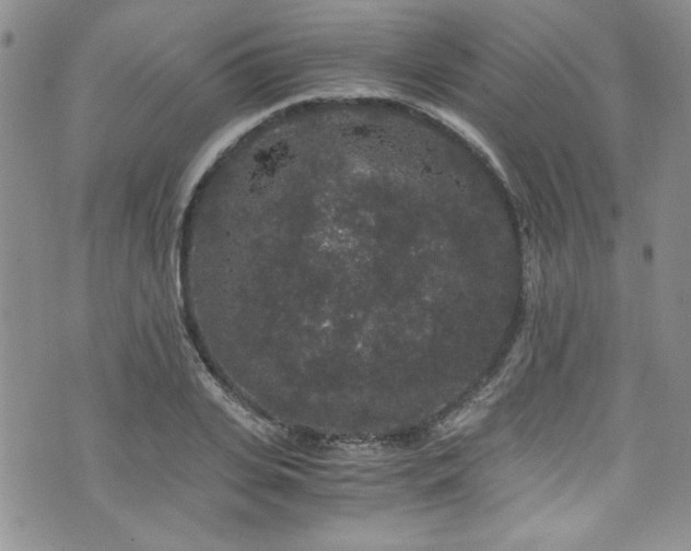 X0000076270935200609281202