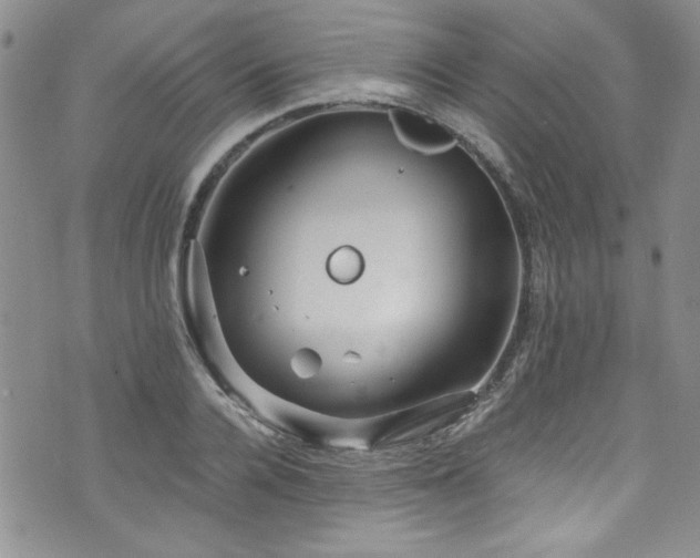 X0000076270936200609281202