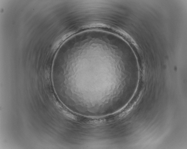 X0000076270937200609281202