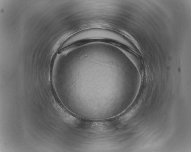 X0000076270938200609281202