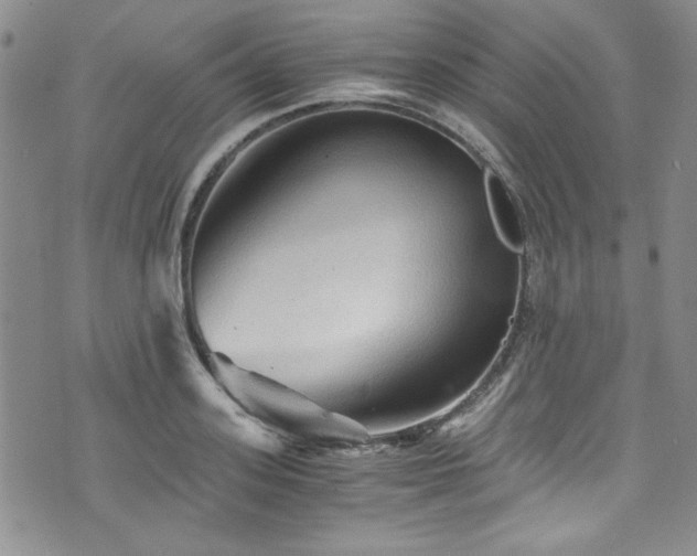 X0000076270939200609281202