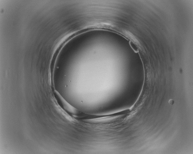 X0000076270940200609281202