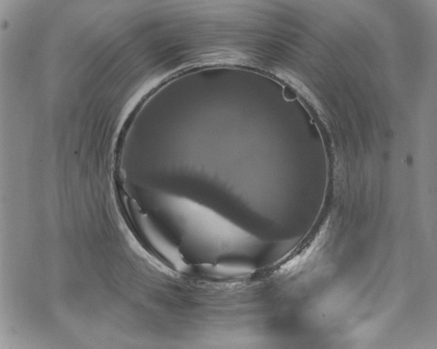 X0000076270941200609281202