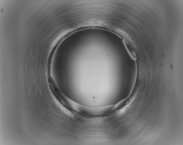 X0000076270942200609281202