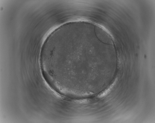 X0000076270943200609281202