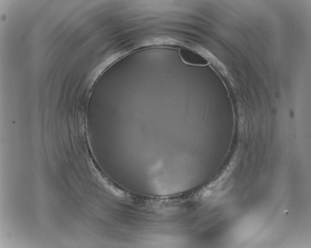 X0000076270945200609281202