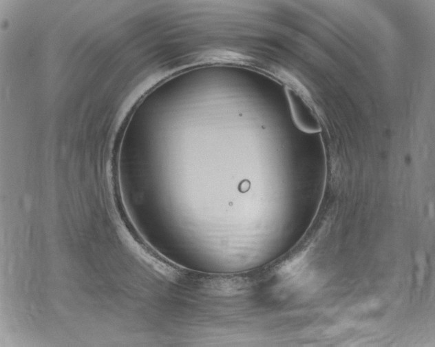 X0000076270947200609281202