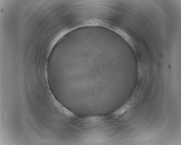 X0000076270950200609281202