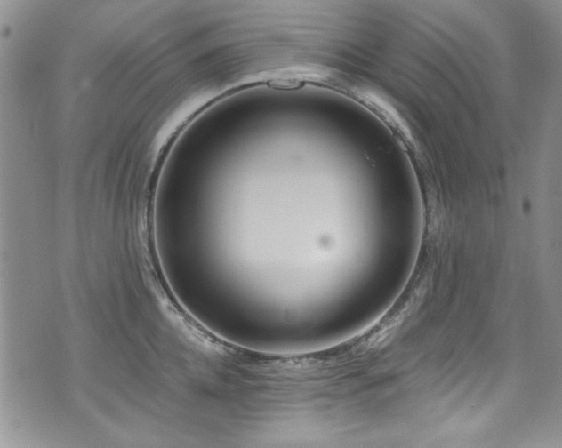 X0000076270952200609281202