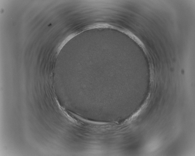 X0000076270953200609281202