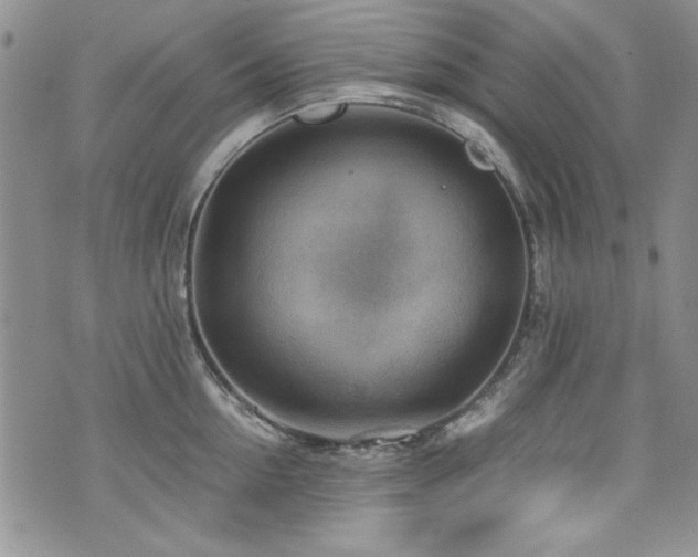 X0000076270954200609281202