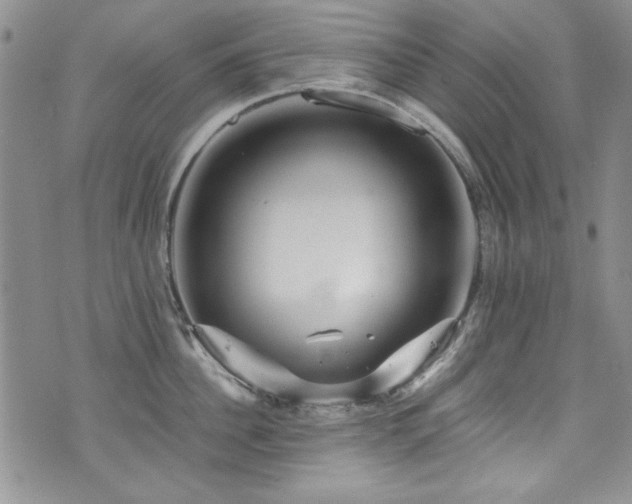 X0000076270956200609281202