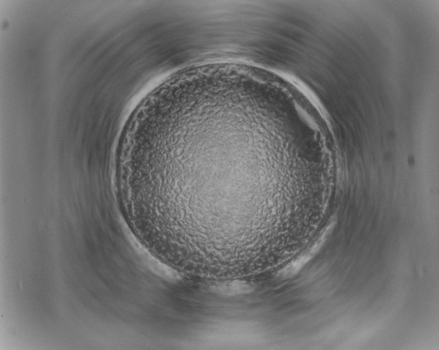 X0000076270957200609281202