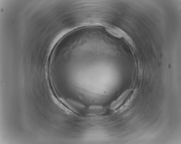 X0000076270958200609281202