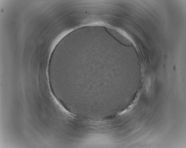 X0000076270959200609281202