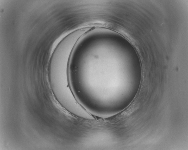 X0000076270960200609281202