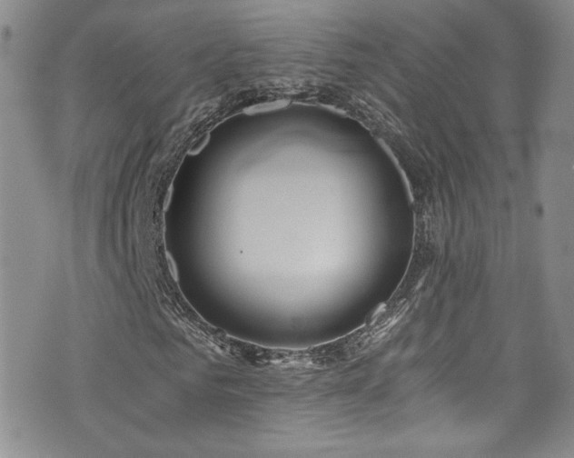 X0000076270961200609281201