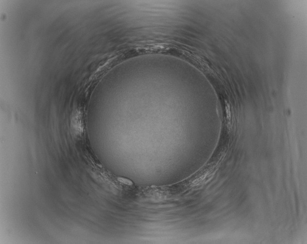 X0000076270962200609281201