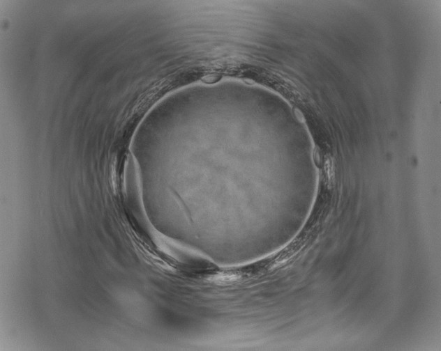 X0000076270963200609281201