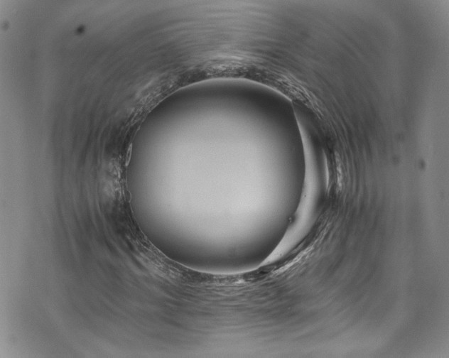 X0000076270964200609281201