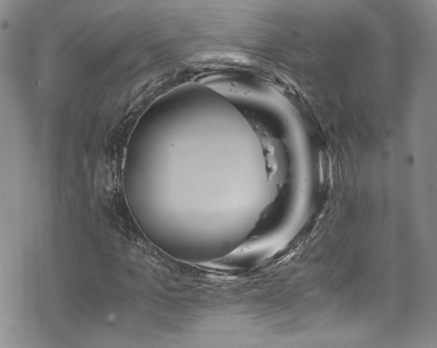 X0000076270965200609281201