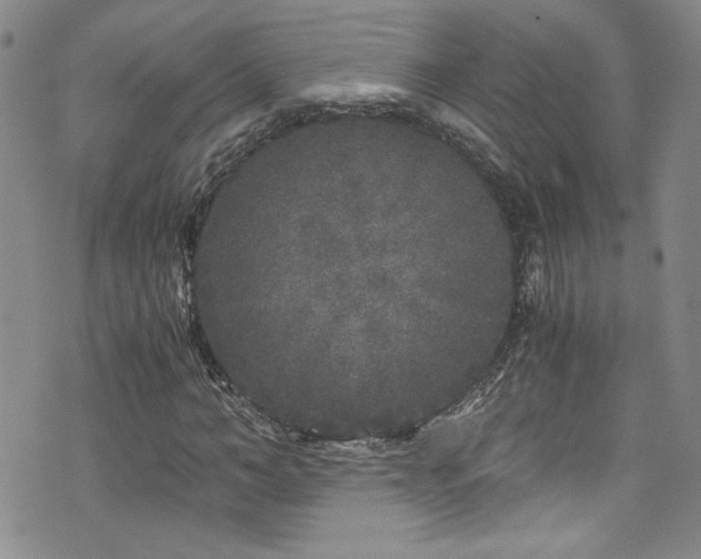 X0000076270966200609281201