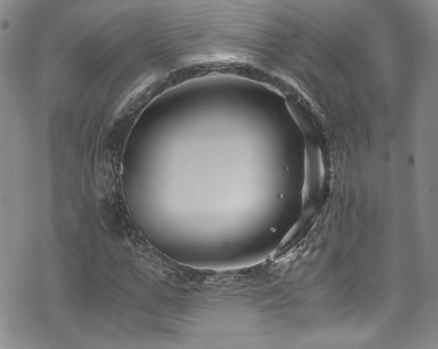 X0000076270967200609281201