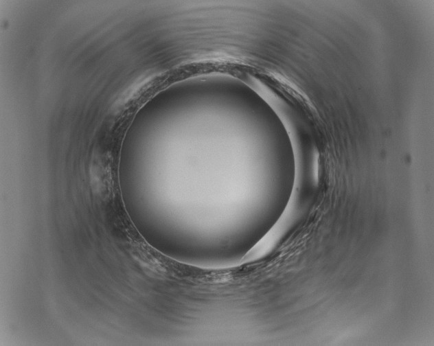 X0000076270968200609281201