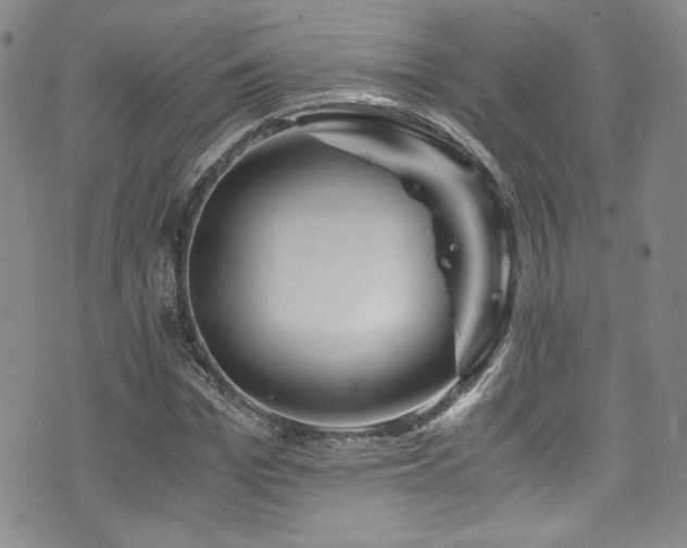 X0000076270969200609281201