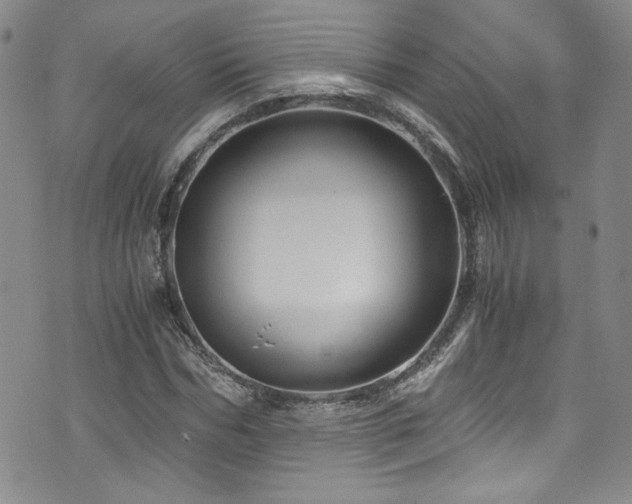 X0000076270970200609281201