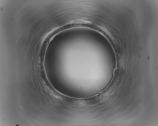 X0000076270971200609281201