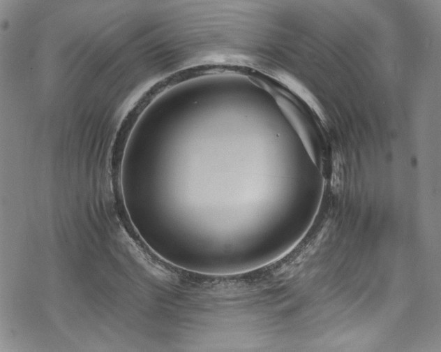 X0000076270972200609281201