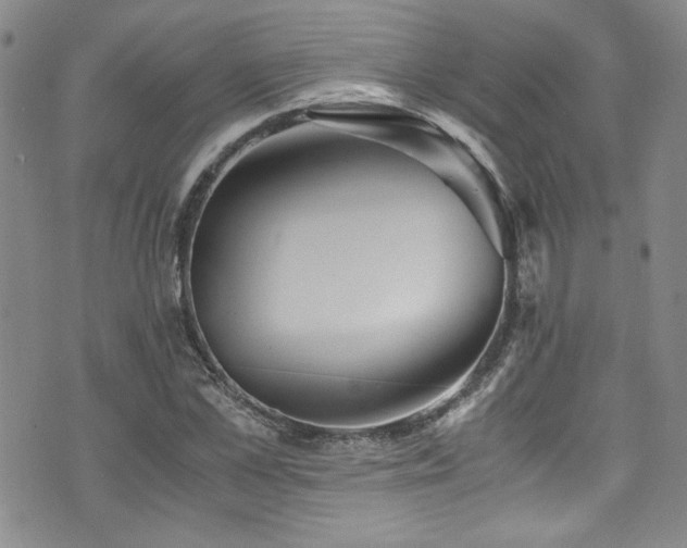 X0000076270973200609281201