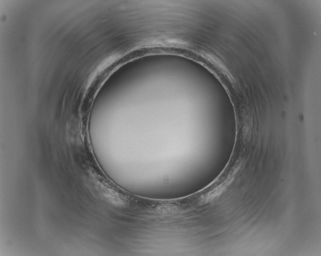 X0000076270974200609281201