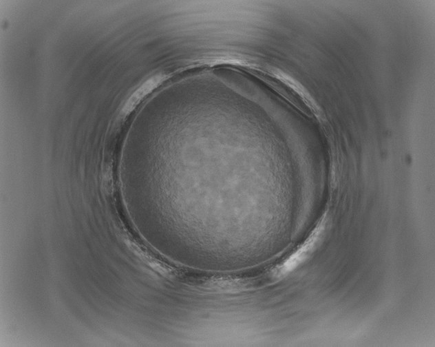 X0000076270977200609281201